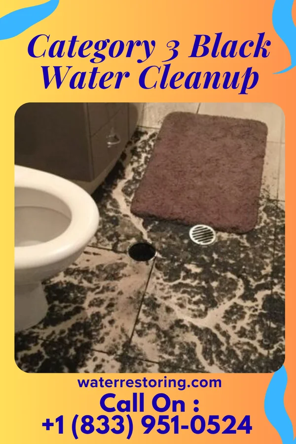 Category 3 Black Water Cleanup in Kendallville, IN