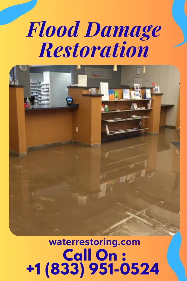 Flood Damage Restoration in Kendallville, IN