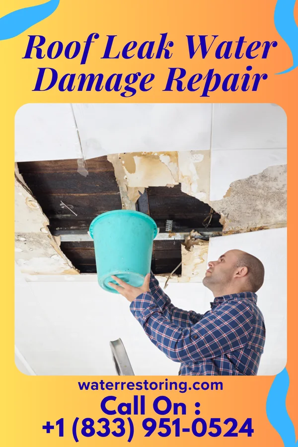 Roof Leak Water Damage Repair in Kendallville, IN