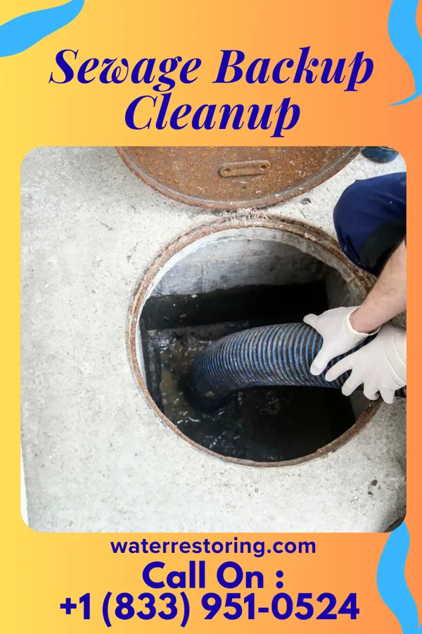 Sewage Backup Cleanup in Kendallville, IN