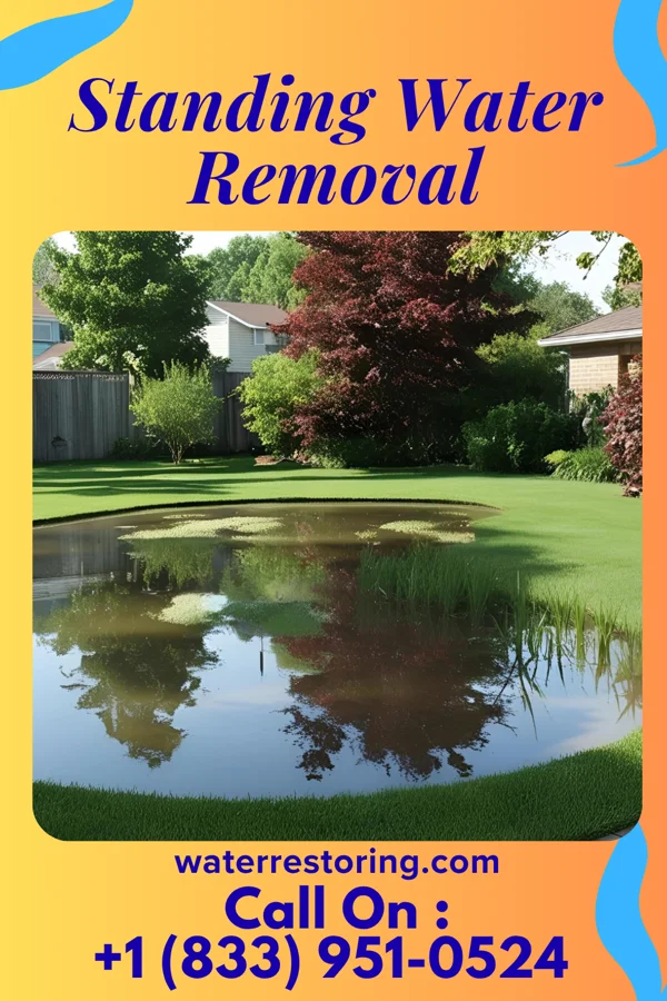 Standing Water Removal in Kendallville, IN